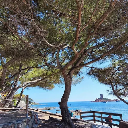 Daire Village Cap Esterel , Agay , T2 Climatise Vue Panoramique - Acces De Plain-pied Au Calme Rare Sur Le Site - Piscines Et Parking Couvert Inclus